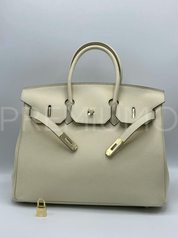 Hermes Birkin сумка PR631861