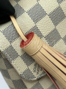 Louis Vuitton Damier Ebene Canvas Croisette сумка PR490487 58