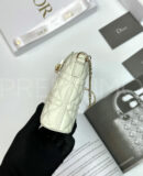 Christian Dior сумка PR883711 21