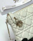 Christian Dior сумка PR883711 23