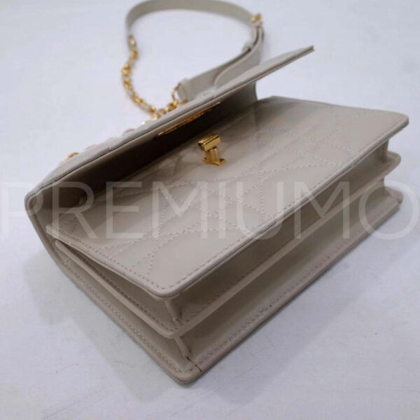 Christian Dior сумка PR121913 8
