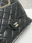 Chanel сумка PR366315 10