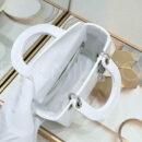 Christian Dior сумка PR165961 13