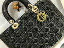 Christian Dior сумка PR580837 12