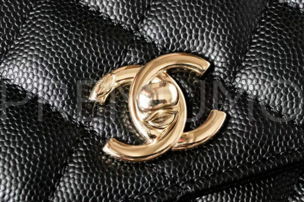 Chanel сумка PR601335 5