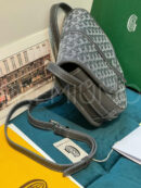 Goyard сумка PR485739 11