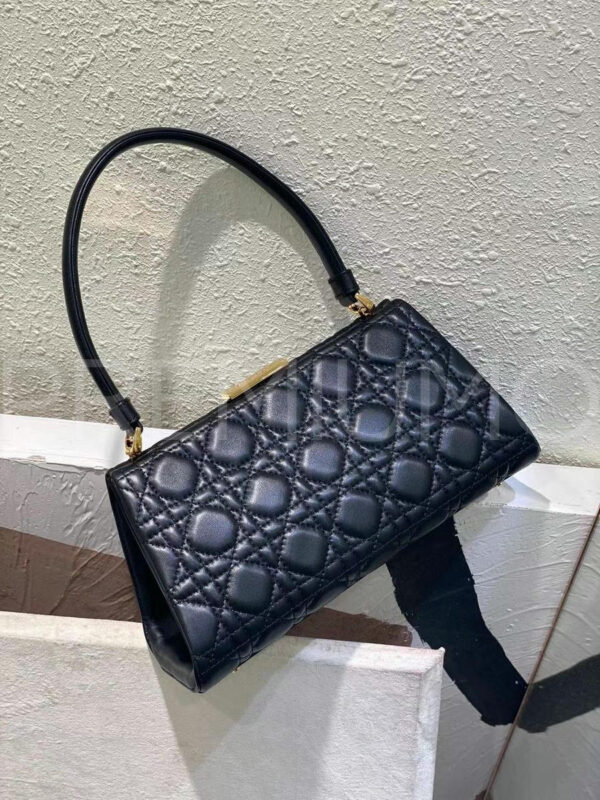 Christian Dior сумка PR162262 5