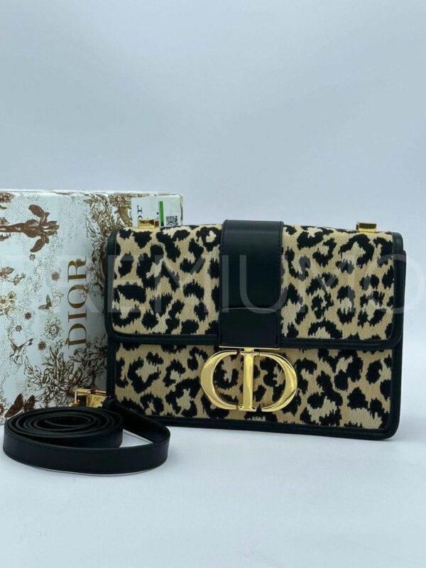 Christian Dior сумка PR184550