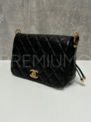 Chanel сумка PR202668 11