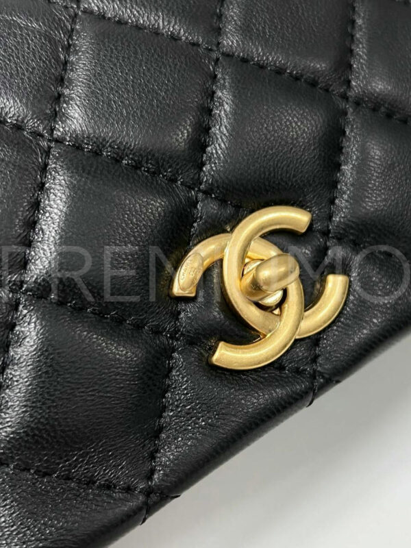 Chanel сумка PR202668 3
