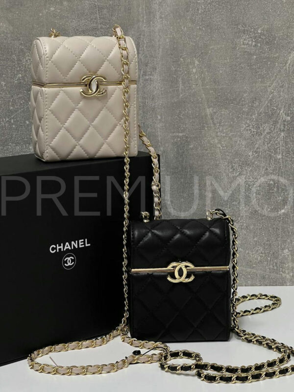 Chanel сумка PR770151 7