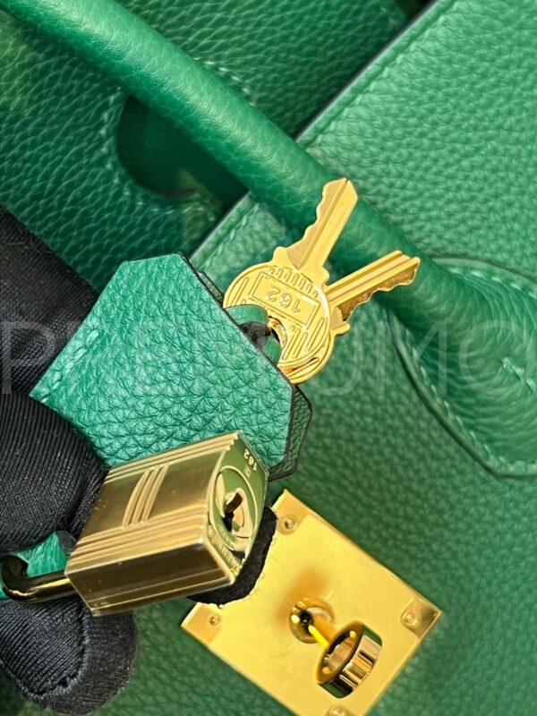 Hermes сумка PR652810 15