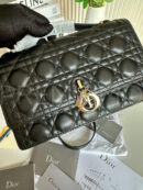 Christian Dior сумка PR401357 12