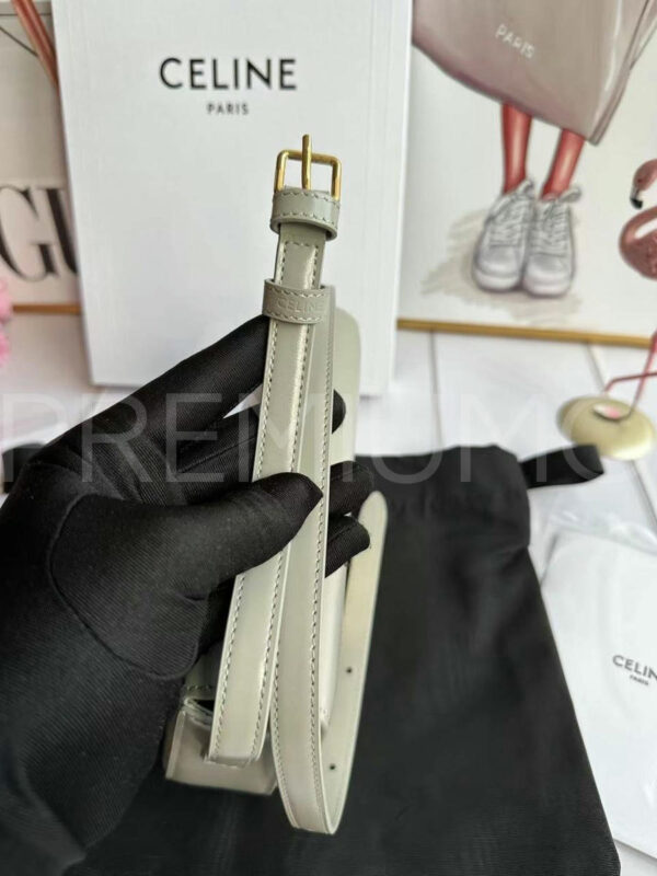 Celine сумка PR517771 8