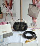 Christian Dior сумка PR532216 12