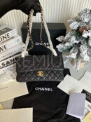 Chanel сумка PR254483 74