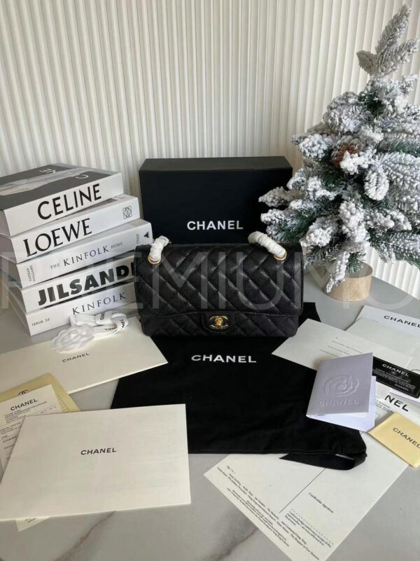 Chanel сумка PR254483 37
