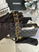 Chanel сумка PR254483 81