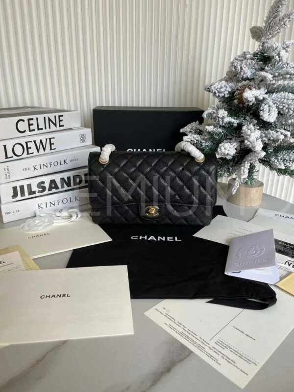 Chanel сумка PR254483 36