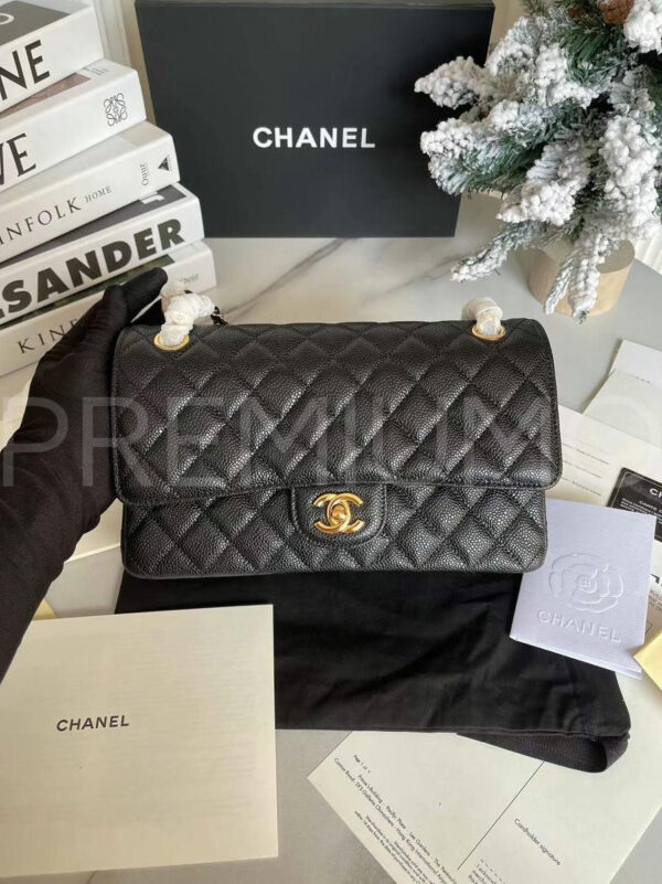 Chanel сумка PR254483 41