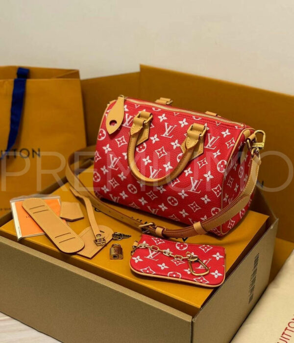 Louis Vuitton Speedy сумка PR578803 2