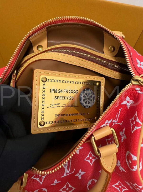 Louis Vuitton Speedy сумка PR578803 5
