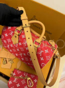 Louis Vuitton Speedy сумка PR578803 20
