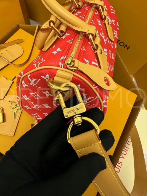 Louis Vuitton Speedy сумка PR578803 9