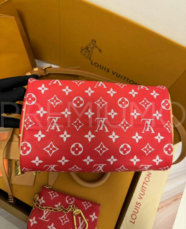 Louis Vuitton Speedy сумка PR578803 8