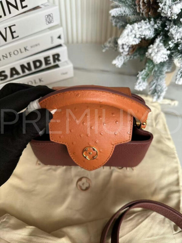 Louis Vuitton сумка PR877204 2