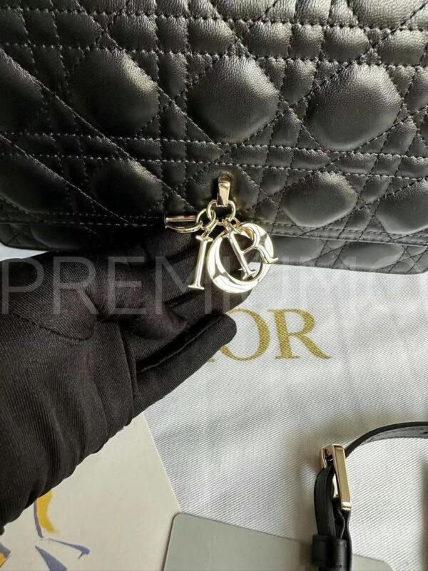 Christian Dior сумка PR853446 10