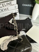 Chanel сумка PR710353 20