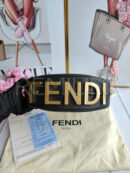 Fendi сумка PR977761 12