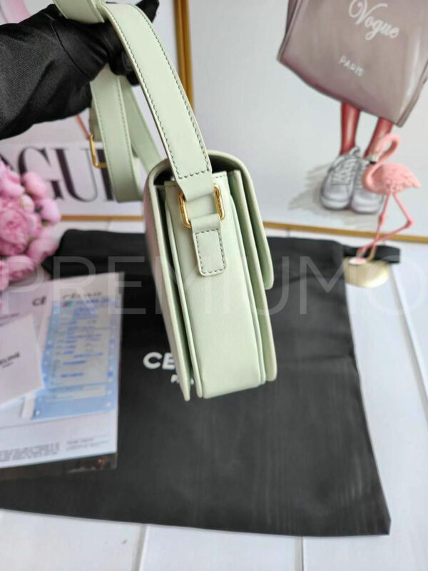 Celine сумка PR289332 6