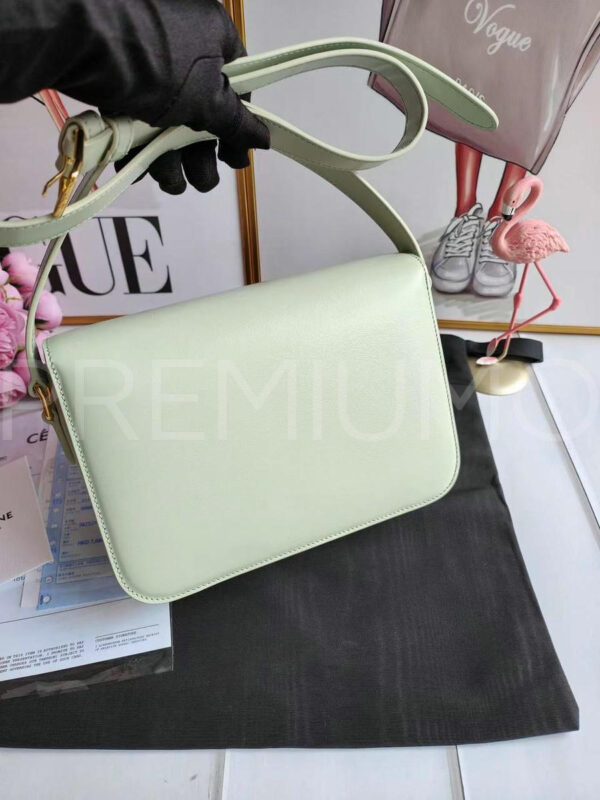 Celine сумка PR289332 4