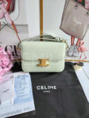 Celine сумка PR289332 11