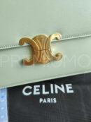 Celine сумка PR289332 15