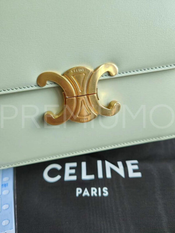 Celine сумка PR289332 5