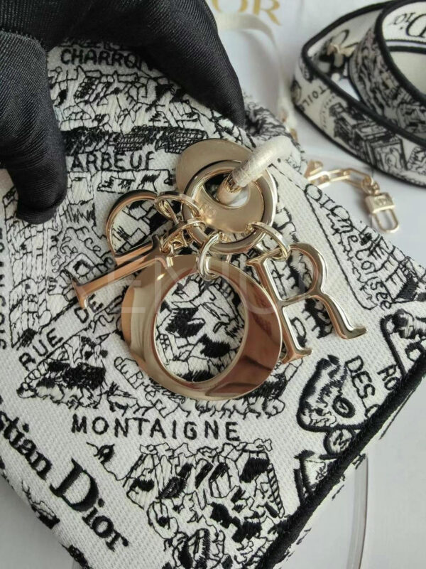 Christian Dior сумка PR839582 6