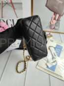 Chanel сумка PR197823 17