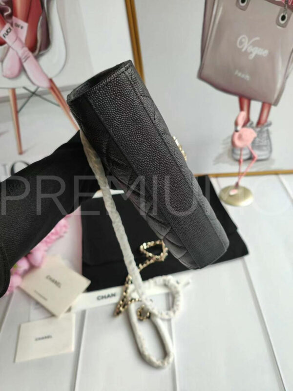Chanel сумка PR257579 7