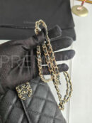 Chanel сумка PR257579 12