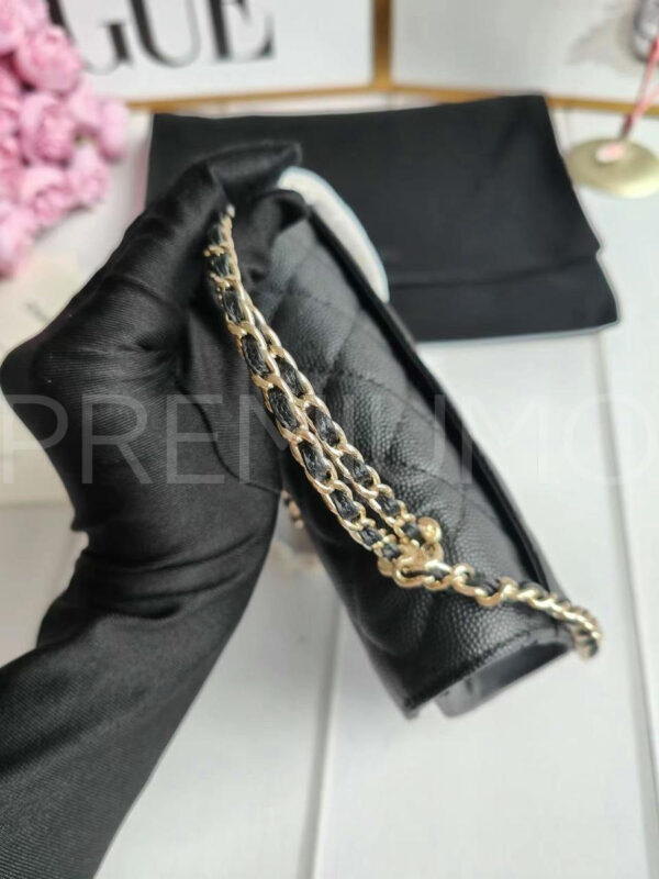 Chanel сумка PR257579 5