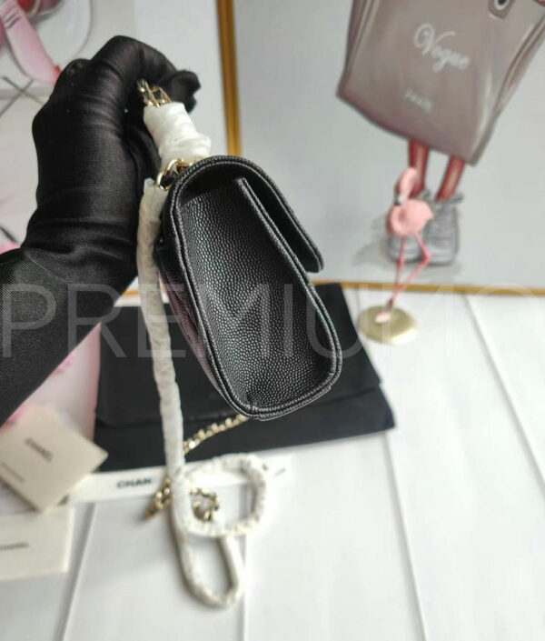 Chanel сумка PR257579 8