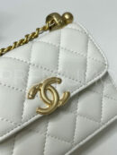 Chanel сумка PR876683 10