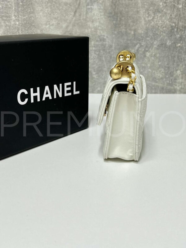 Chanel сумка PR876683 3