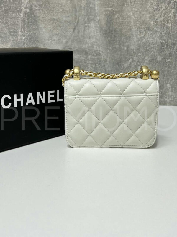 Chanel сумка PR876683 5