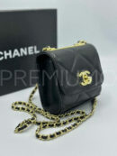 Chanel сумка PR436129 6