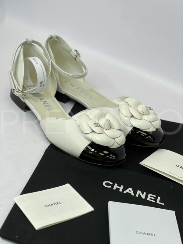 Chanel балетки PR346132 16