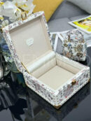 Christian Dior Lady сумка PR435012 21